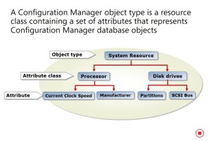 Objects and Attributes