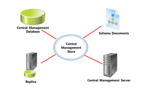 Overview of the Central Management Store